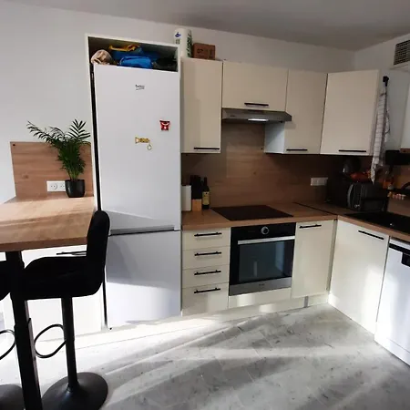 Sunny Mercury - In Homestay Cannes